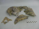 cloche, image 1/3