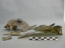 cloche, image 2/3