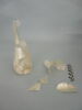 flacon, fragment, image 1/3
