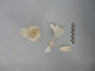 flacon, fragment, image 2/3