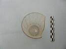 gobelet, image 2/3