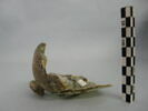 verre à jambe à bouton, image 3/3