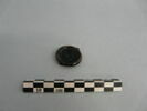 médaillon de bouteille, image 1/3