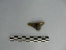 médaillon de bouteille, image 2/3