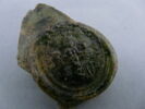 médaillon de bouteille, image 3/3