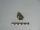médaillon de bouteille, image 2/3