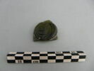 médaillon de bouteille, image 1/3
