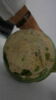 pichet, image 7/7