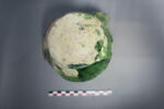 pichet, image 3/7