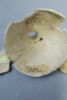 bouteille, fragment, image 3/3