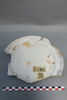 assiette calotte, image 1/3