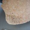 tuile, fragment, image 3/3