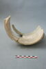 tuyau, image 1/3
