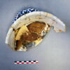 bassin à anses, fragment, image 2/4