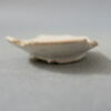 cupule, image 2/2