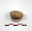 clochette  ; cupule, image 1/3
