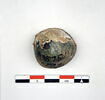 clochette  ; cupule, image 3/3