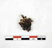 boucle d'oreille, image 2/2