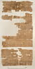 papyrus documentaire, image 2/2