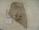sarcophage, image 6/6