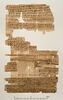 papyrus documentaire, image 1/2