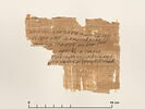 papyrus documentaire, image 2/2