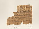 papyrus documentaire, image 1/2