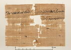 papyrus documentaire, image 2/2