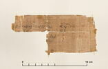 papyrus documentaire, image 2/2