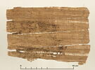 papyrus documentaire, image 2/2