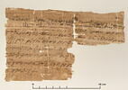 papyrus documentaire, image 2/2