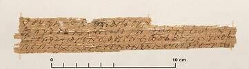 papyrus documentaire, image 1/2
