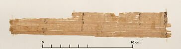 papyrus documentaire, image 2/2