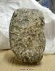 moulage, image 3/4