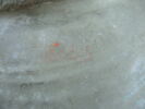 urne ; vase, image 6/6