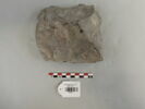 chapiteau, image 1/7