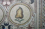 Mosaïque de Qabr Hiram, image 37/49