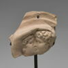 oscillum, image 1/4