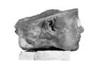 statue, image 12/14