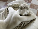 Hermaphrodite endormi, image 2/11