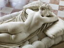 Hermaphrodite endormi, image 3/11