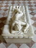 Hermaphrodite endormi, image 5/11
