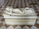 Hermaphrodite endormi, image 6/11