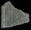 Stèle votive à Saturne (fragment), image 1/2