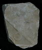 Stèle votive à Saturne (fragment), image 1/2