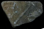 Stèle votive à Saturne (fragment), image 1/2