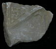 Stèle votive à Saturne (fragment), image 1/2