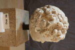 statue, image 5/9