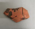 amphore, image 1/2