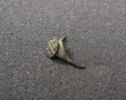 bague, image 1/3